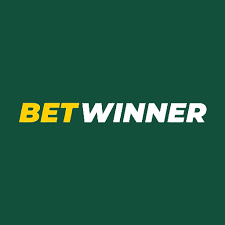 Explore the Thrills of BetWinner Gambling Platform